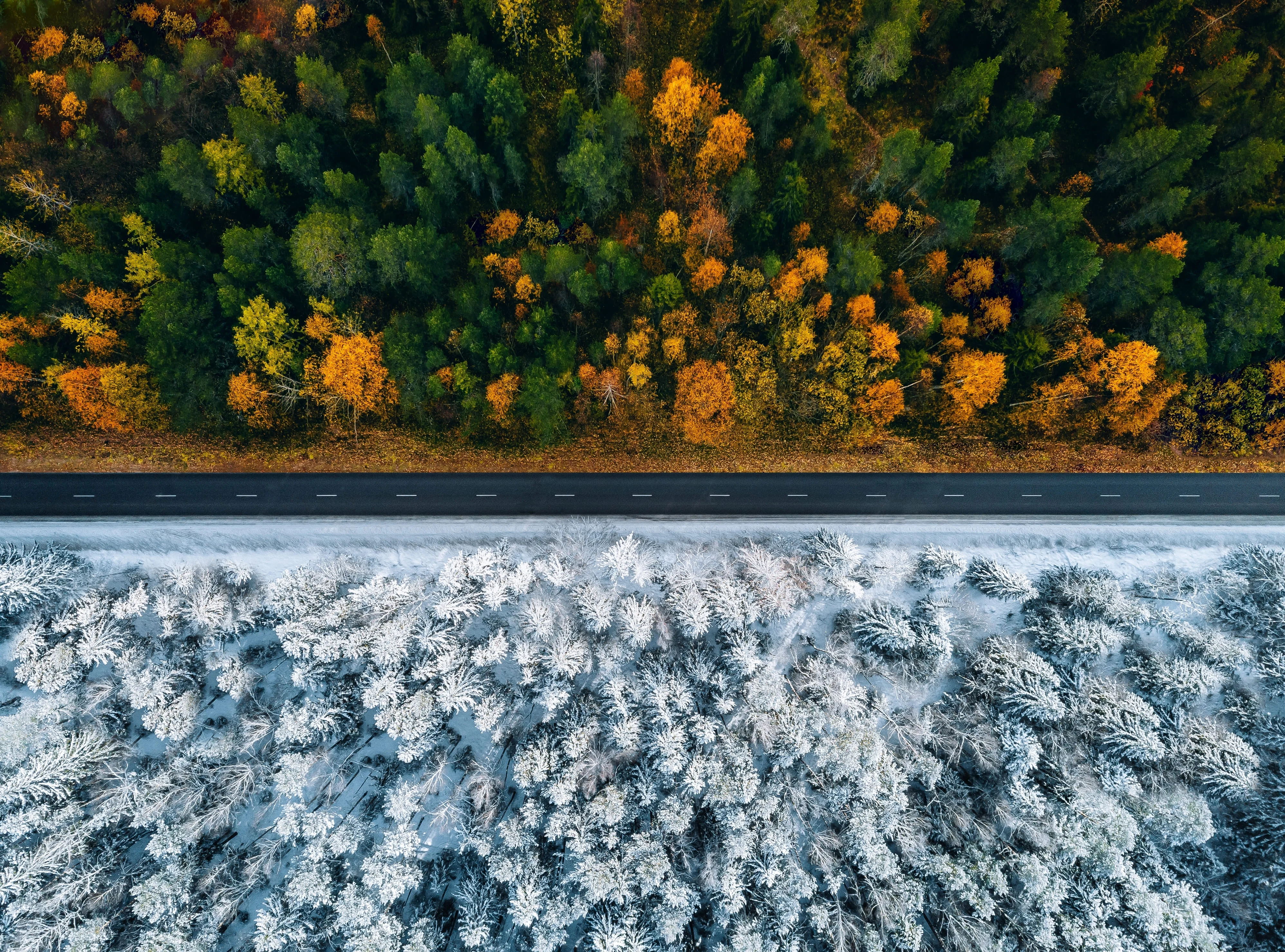 how long does it take to ship a vehicle factor seasonality